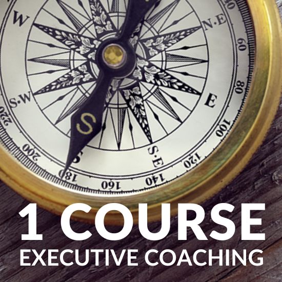 Executive Coaching - 1 Course