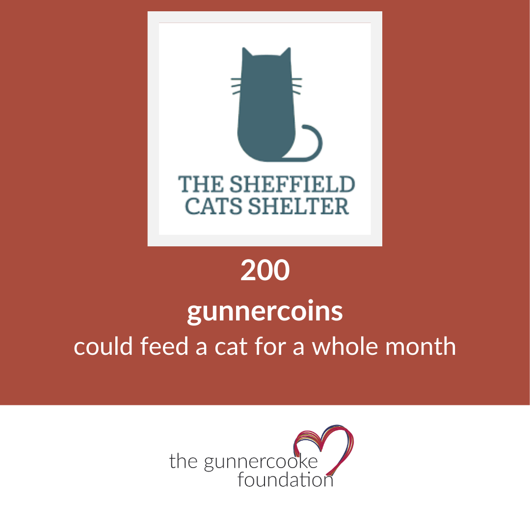 The Sheffield Cats Shelter