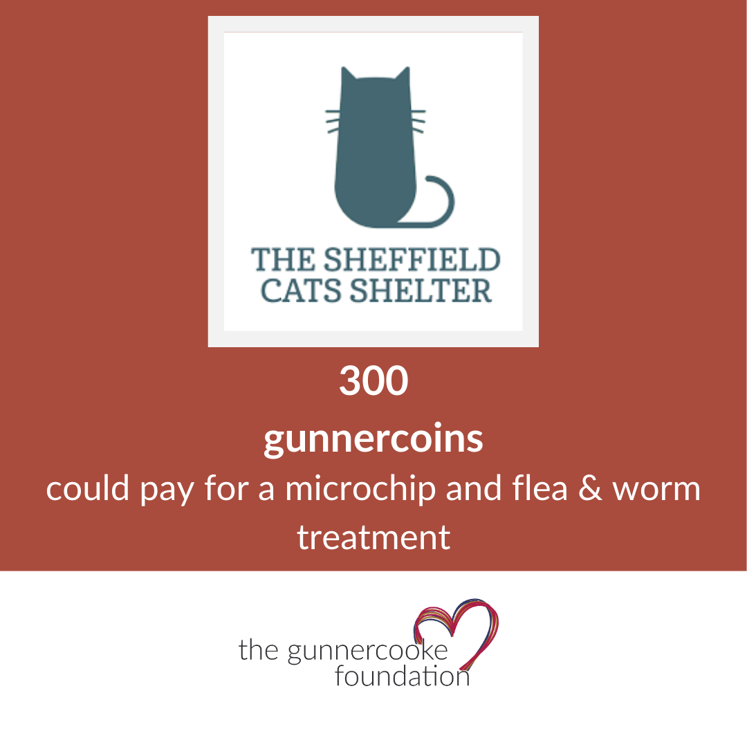 The Sheffield Cats Shelter