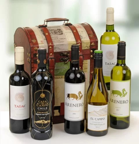 6 Bottle Wine Treasure Chest from around the world